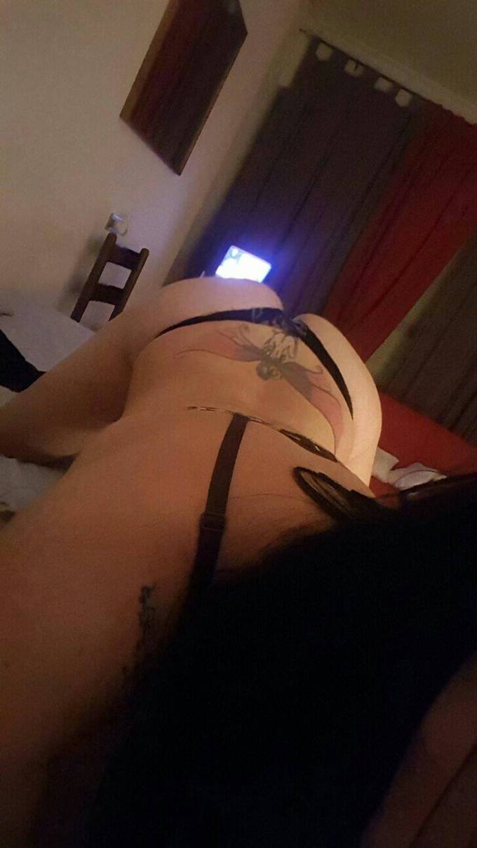 Trans 3397063152