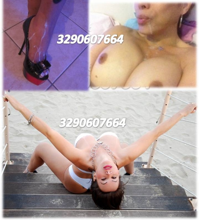 Trans 3345854722