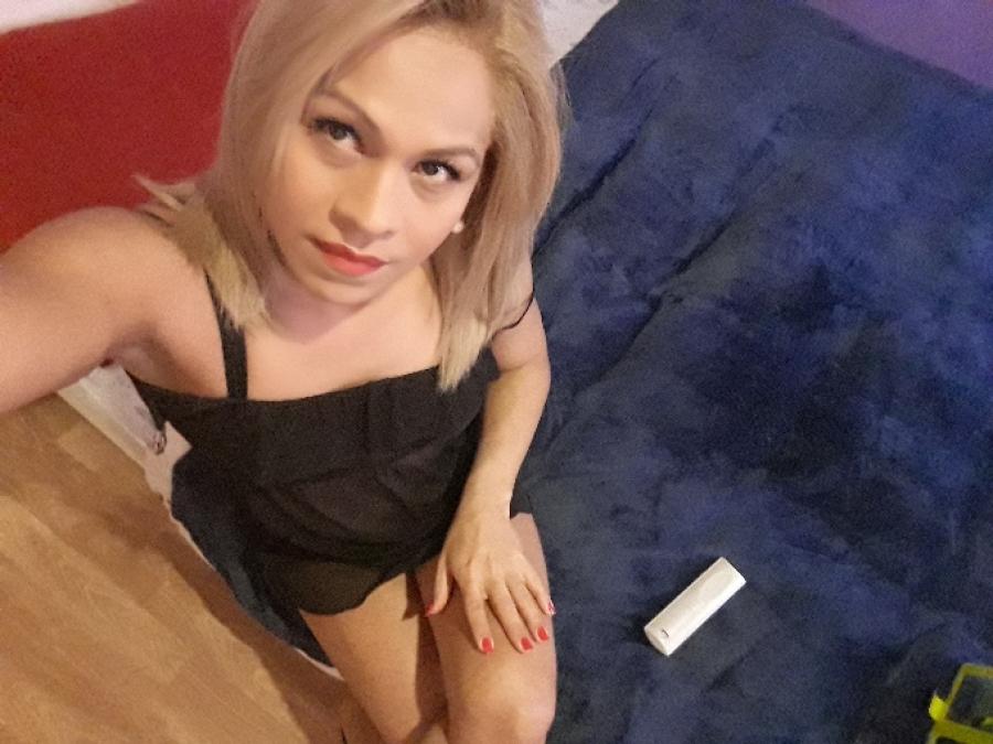 Trans 3287386984