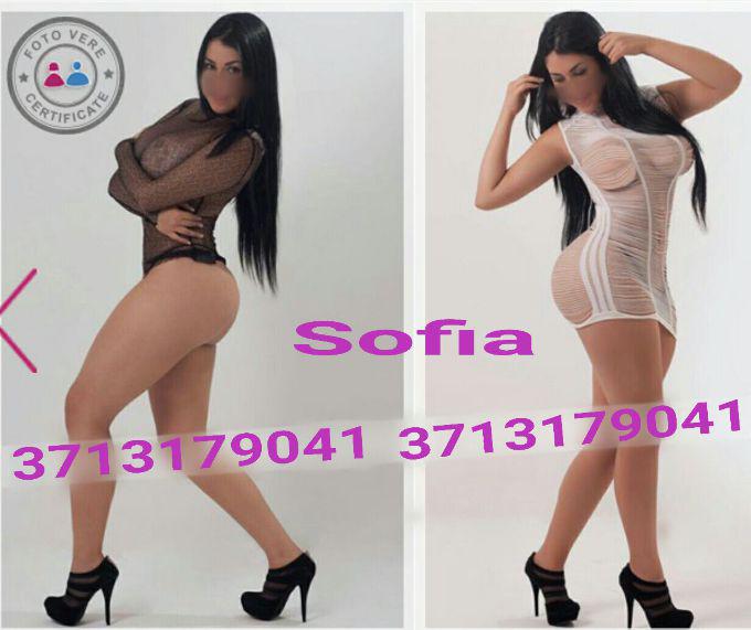 Escort 3713179041