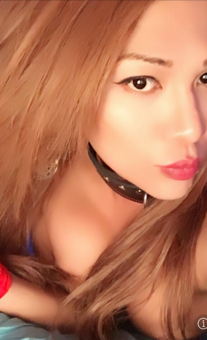 Trans 3332892411