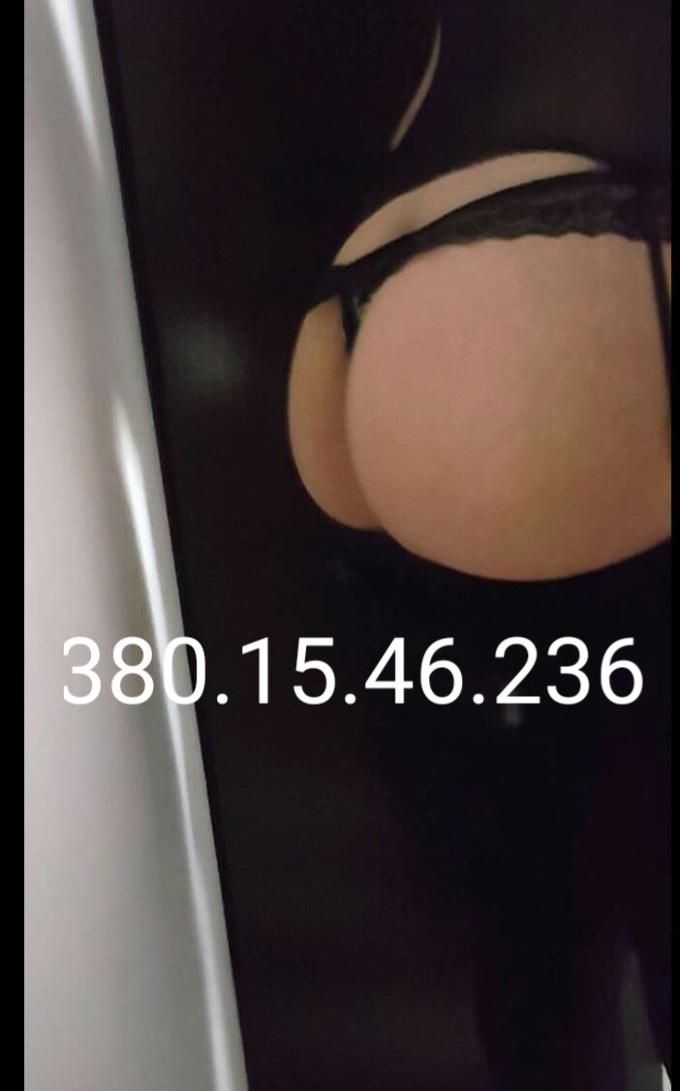 Trans 3801546236