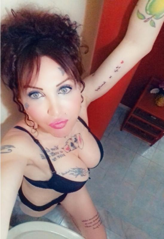Trans 3512763766