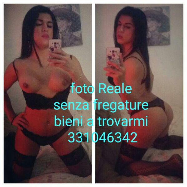 Trans 3331046342