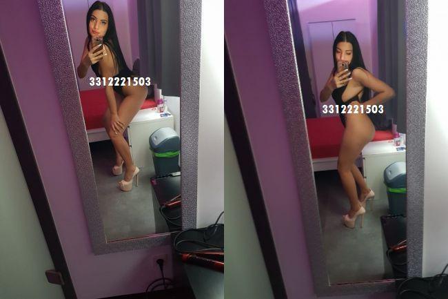 Escort 3312221503