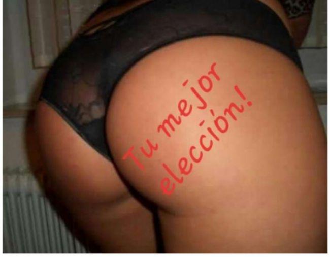 Escort 3511646413