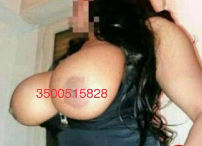 Escort 3500515828