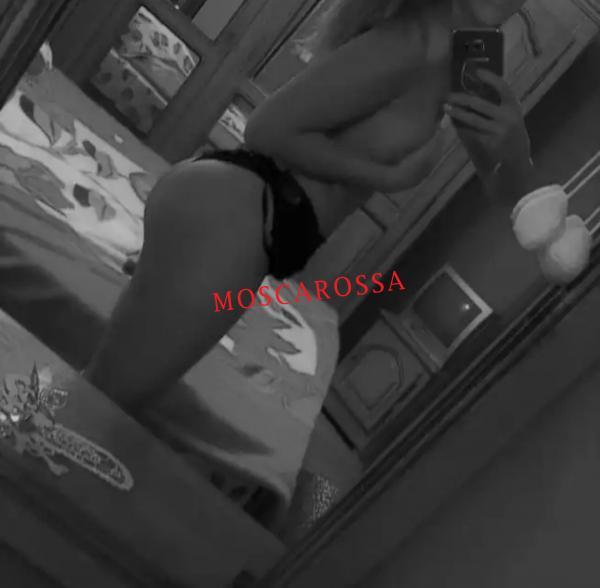 Escort 3533487433