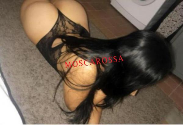 Escort 3714690110