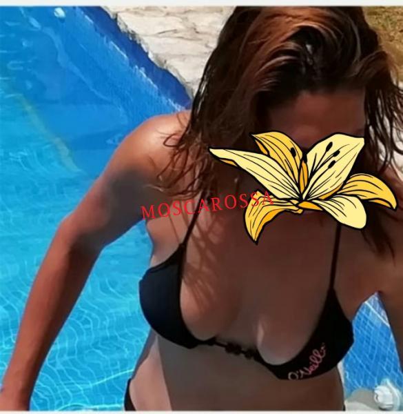 Escort 3493505213