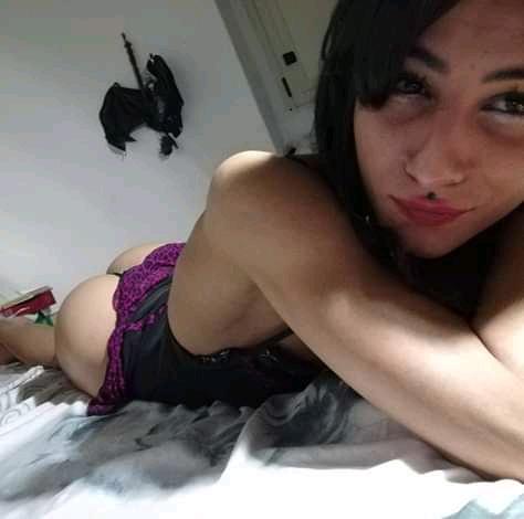 Trans 3501691140