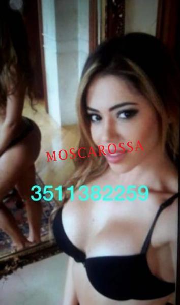Escort 3512042551