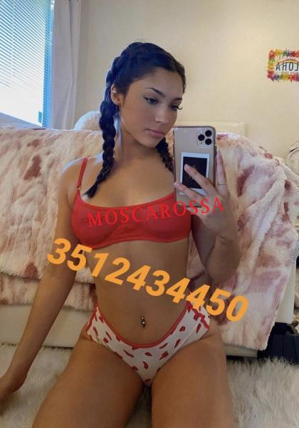 Escort 3512434450