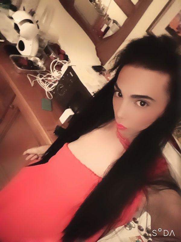 Trans 3890413266
