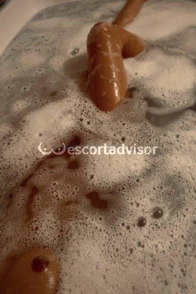 Escort 3383064984