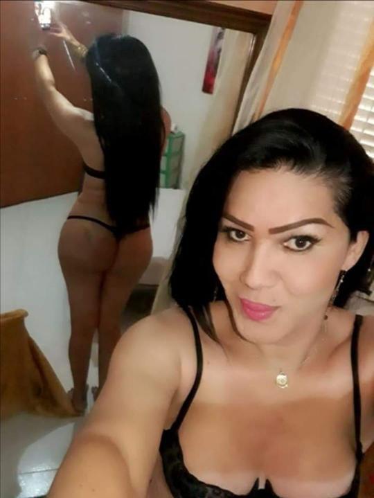 Trans 3888025819